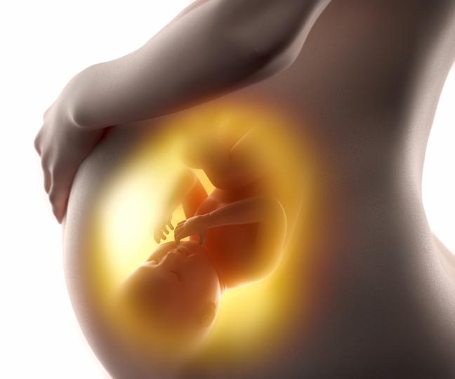 Bebê hypo na gravidez: causas e como você se sente