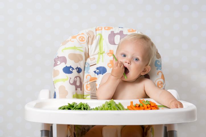 10 -Month -Or Comida para bebês: horários