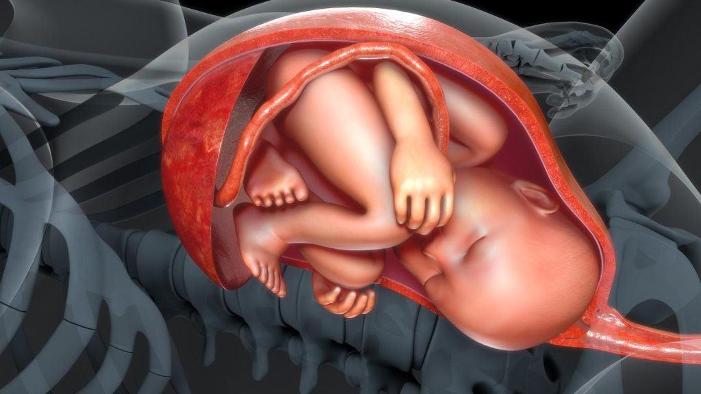 O que fazer para que o bebê seja desvendado do cordão umbilical