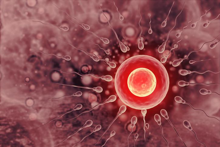 Algo é um aviso quando o óvulo é fertilizado?