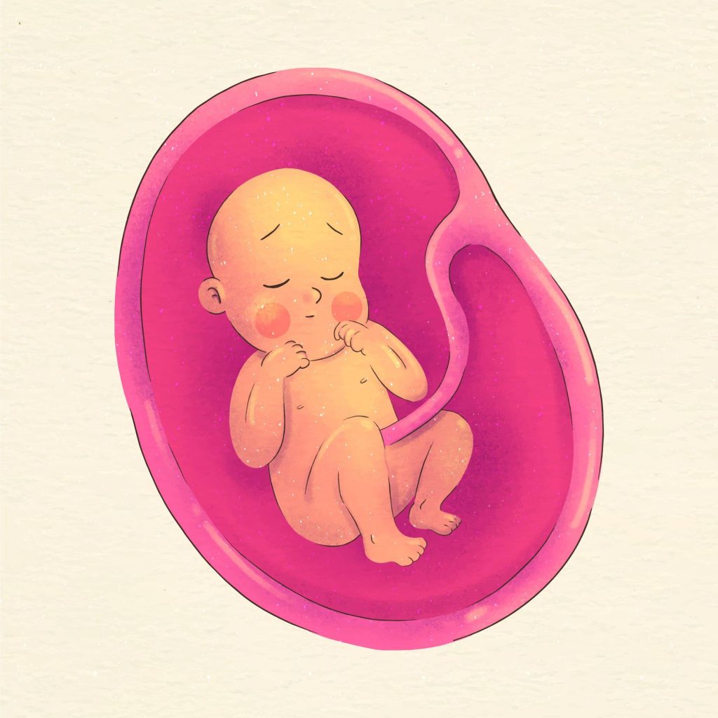 Isso mostra quando o bebê se vira?